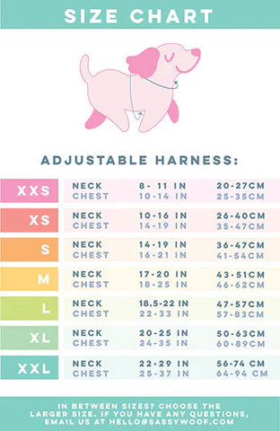 Dog Adjustable Harness - Care Bears™ Cheer Bear