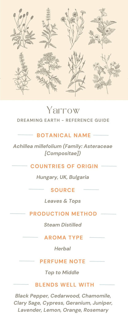 Yarrow Essential Oil - Dreaming Earth Inc